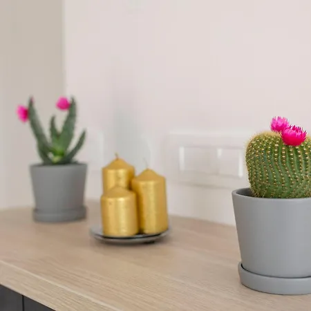 Bozica Apartamento *